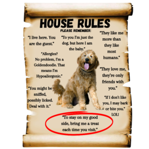 Goldendoodle House Rules